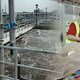 Illustration for article titled 3 Top Methods for Controlling Odor Caused by Industrial Waste Waterem/em